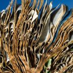 table-reservation-old-recipe-book